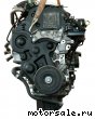 Citroen () 8HX (DV4TD):  1