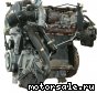 FIAT () 955 A3.000, 198 A2.000 (955A3.000, 198A2.000):  4