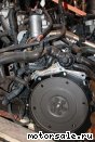 Volkswagen (VW) () BLF:  2