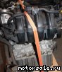 Volkswagen (VW) () BLF:  3