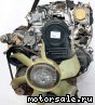 MMC Mitsubishi () 4D56U (DI-D):  5