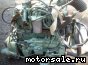 Mercedes Benz () 364.919 (364919):  3