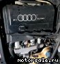 Audi () ARK:  1