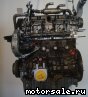 Citroen () RHV (DW10UTD):  3