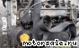 Opel () Z19DT:  3