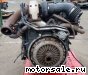 Mercedes Benz () 541.925 (541925):  2