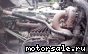 Volvo () TD63ES:  2