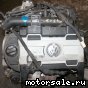 Volkswagen (VW) () BLG:  5