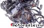 Volvo () B5254T5:  7