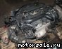 Volvo () B5254T8:  1