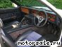 TVR () Sonstige Tasmin 200 Cabrio:  4