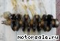 MMC Mitsubishi () 4G18 MN149764:  1