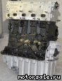 Volkswagen (VW) () CXEB:  1