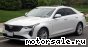 Cadillac () CT4:  1