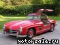 Mercedes Benz () SL (R198) Gullwing:  2