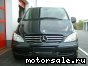 Mercedes Benz () Vito II Bus (W639):  3