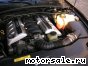 Holden () Monaro GTO V8:  4