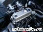 Austin Healey (-) Sprite MKI Frogeye Roadster Racecar:  3