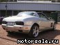 De Tomaso ( ) Bigua (Qvale Mangusta):  4