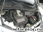 Toyota () Alphard I (H1_):  6