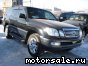 Toyota () Land Cruiser Cygnus:  1