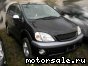 Toyota () Nadia:  3