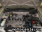 Nissan () Bluebird Sylphy (G10):  4