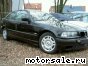 BMW () 3-Series (E36 Compact):  5