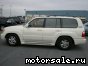 Lexus () LX II (J100):  1