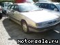 Citroen () XM Break (Y4):  5