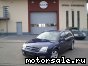 Opel () Signum:  2