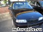 Opel () Vectra A (88_, 89_):  1