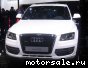 Audi () Q5 I (8RB):  3