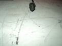   Opel -