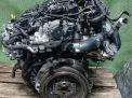 Двигатель Audi / VW CUV 2.0 TDI , голый фотография №2