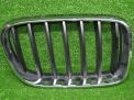 Решетка радиатора BMW Х3 ll F25 , R фотография №1