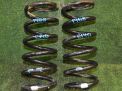Пружина задняя Chevrolet / Daewoo Каптива , пара фотография №1