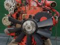 Двигатель грузовой Cummins ISD 140-30 фотография №1