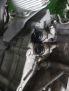 АКПП Honda Кросстур TF2 3.5i BY9A фотография №4