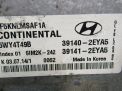 Блок управления двигателем Hyundai / Kia Соната 7 2.0i LPG фотография №3