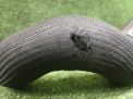 Патрубок интеркулера JEEP Гранд Чероки 4 3,0 CRDi EXF 55038006AE фотография №3
