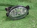 Фара противотуманная правая Mercedes-Benz ML W164 фотография №1