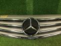 Решетка радиатора Mercedes-Benz B-Класс , W245 фотография №1